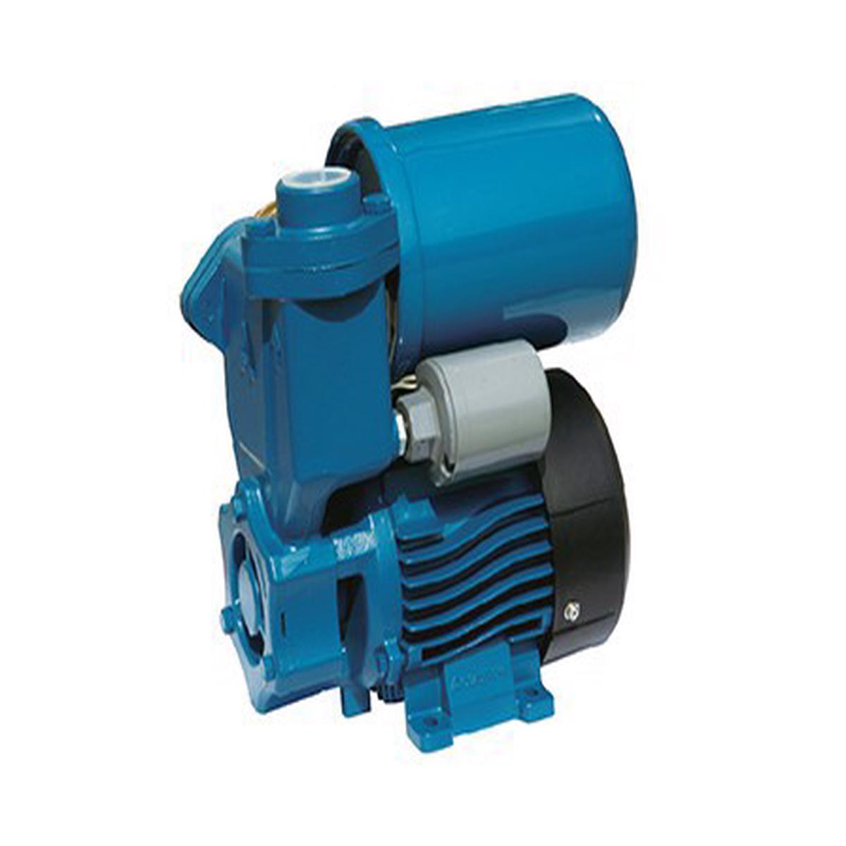 0.17 HP water pump with Aquastrong automatic
