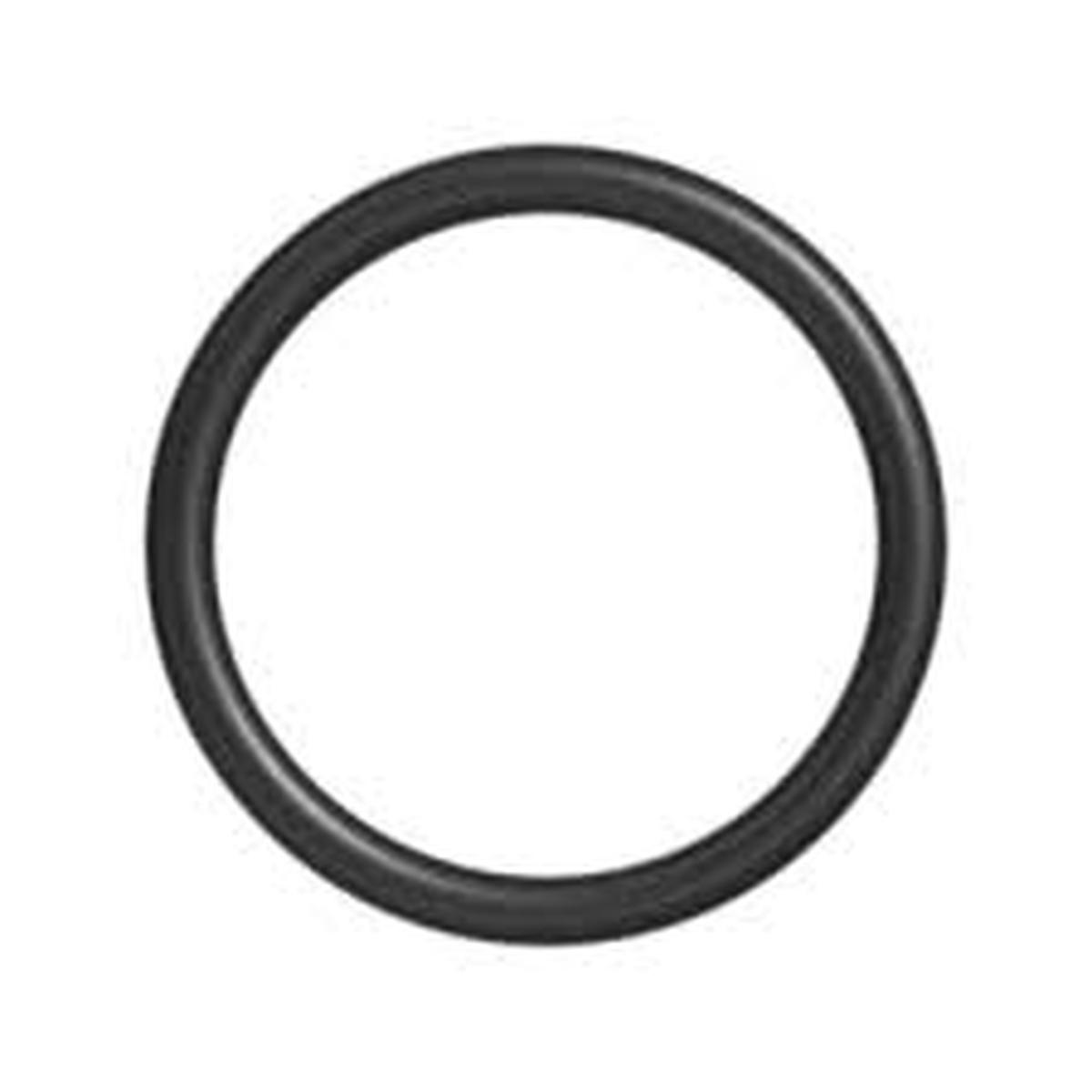 Corrosion Ring 5-1/2 in