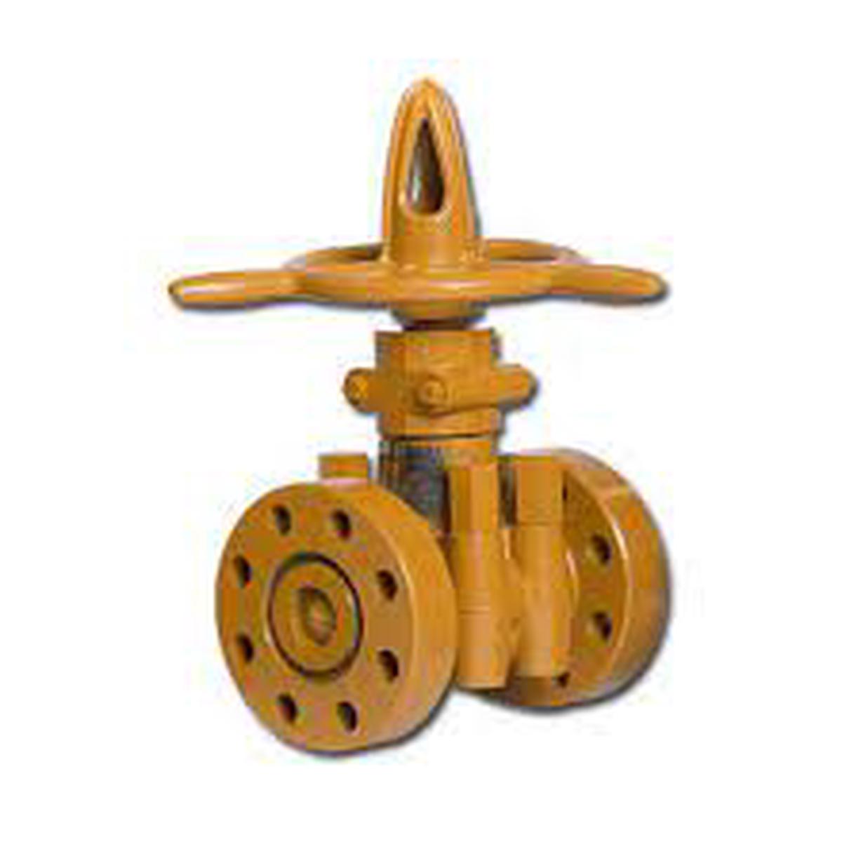 Oteco Gate Valve 5M 2 in (V250) 112501 Threaded