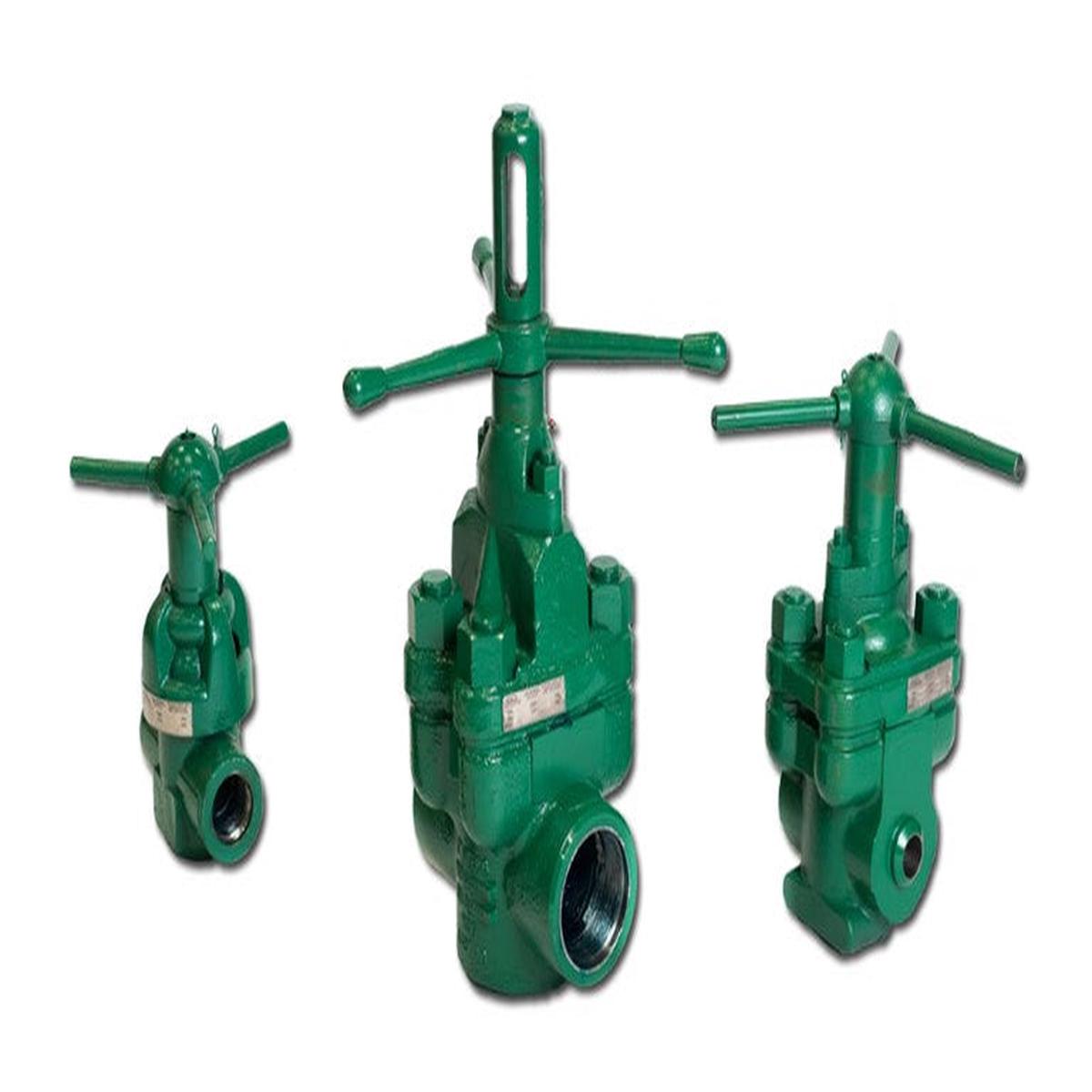 Oteco Gate Valve 5M 2 in (V250) 112504 XXH Buttweld